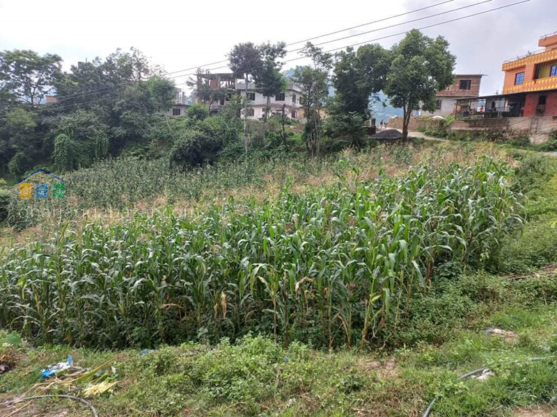 Land on Sale at Dukuchhap